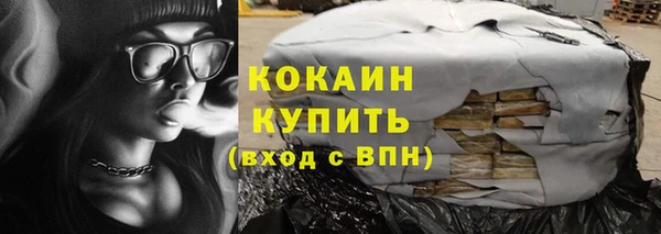 СК Бикин