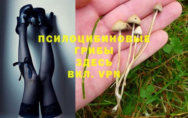 PSILOCYBIN Баксан