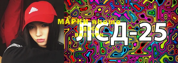 PSILOCYBIN Баксан