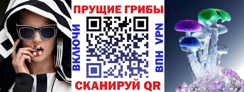 где купить наркотик Краснодар Галлюциногенные грибы Cubensis